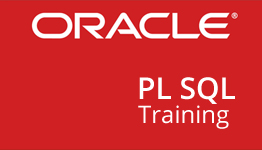 Oracle PL SQL