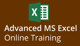 Advanced MS Excel